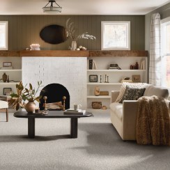 DuraWeave carpet in a living room