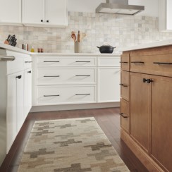 Wolf cabinets in a kitchen