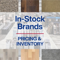 In-Stock Brands Pricing and Inventory